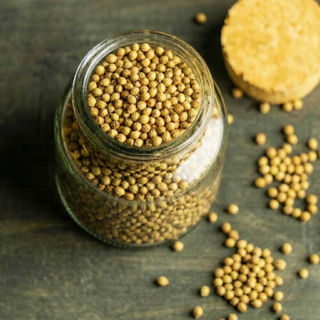 Cilantro